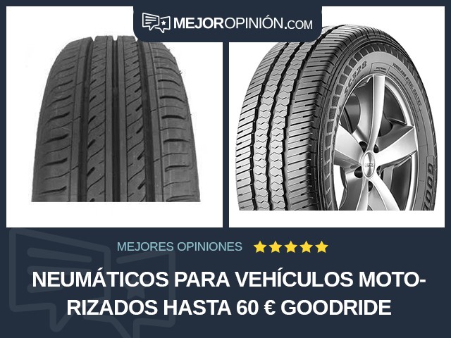 Neumáticos para vehículos motorizados Hasta 60 € Goodride