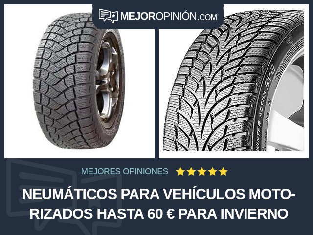 Neumáticos para vehículos motorizados Hasta 60 € Para invierno