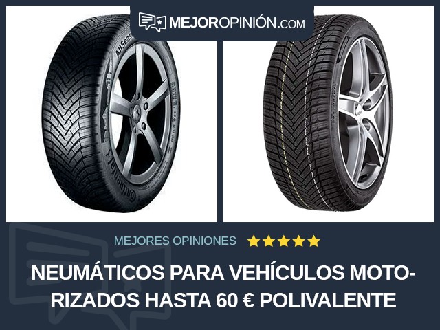 Neumáticos para vehículos motorizados Hasta 60 € Polivalente