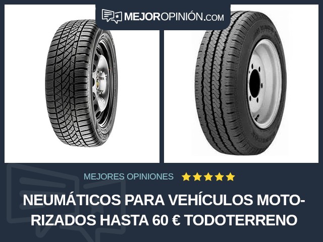 Neumáticos para vehículos motorizados Hasta 60 € Todoterreno