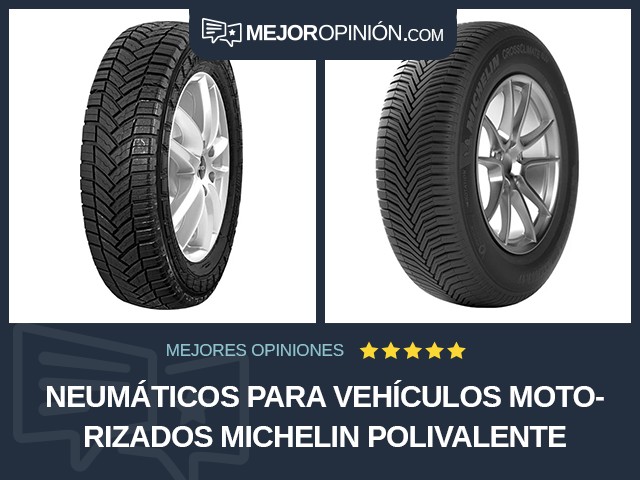 Neumáticos para vehículos motorizados Michelin Polivalente