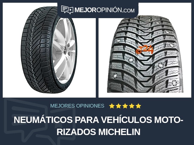 Neumáticos para vehículos motorizados Michelin