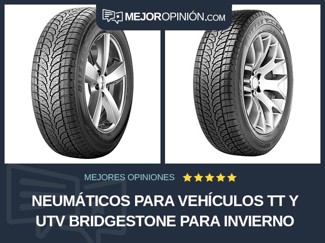 Neumáticos para vehículos TT y UTV Bridgestone Para invierno