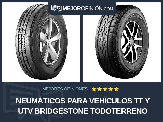 Neumáticos para vehículos TT y UTV Bridgestone Todoterreno