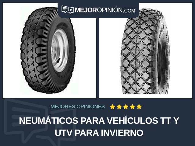 Neumáticos para vehículos TT y UTV Para invierno