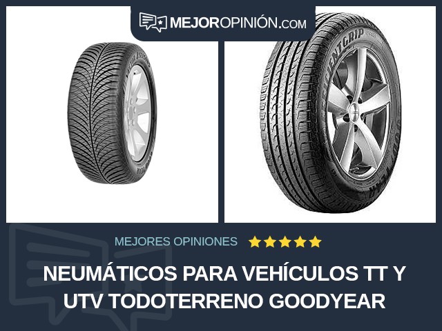 Neumáticos para vehículos TT y UTV Todoterreno Goodyear