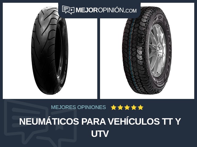 Neumáticos para vehículos TT y UTV