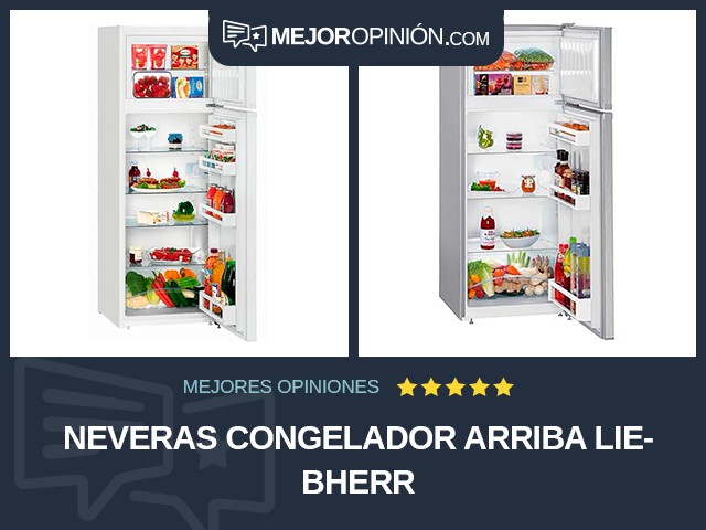 Neveras Congelador arriba Liebherr