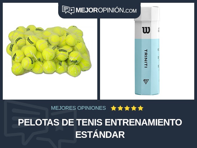 Pelotas de tenis Entrenamiento Estándar