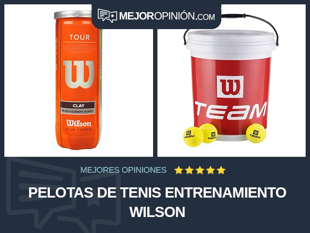 Pelotas de tenis Entrenamiento Wilson