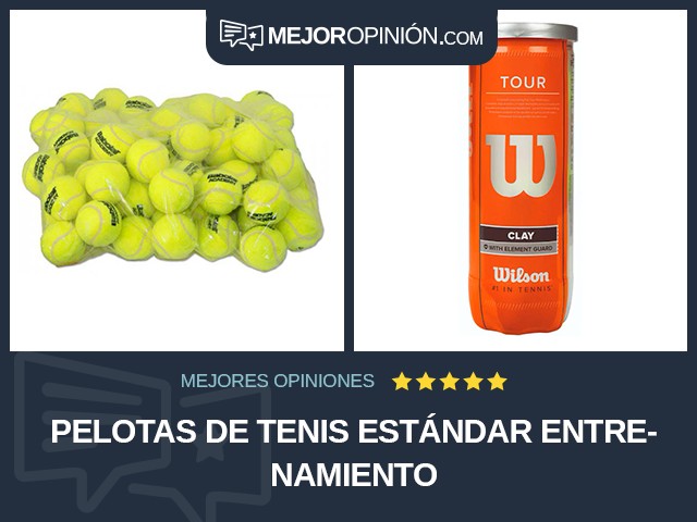 Pelotas de tenis Estándar Entrenamiento