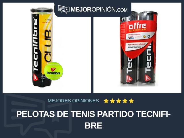 Pelotas de tenis Partido Tecnifibre