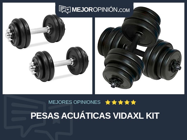 Pesas acuáticas vidaXL Kit