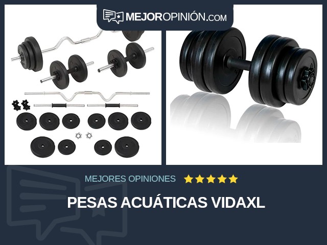 Pesas acuáticas vidaXL