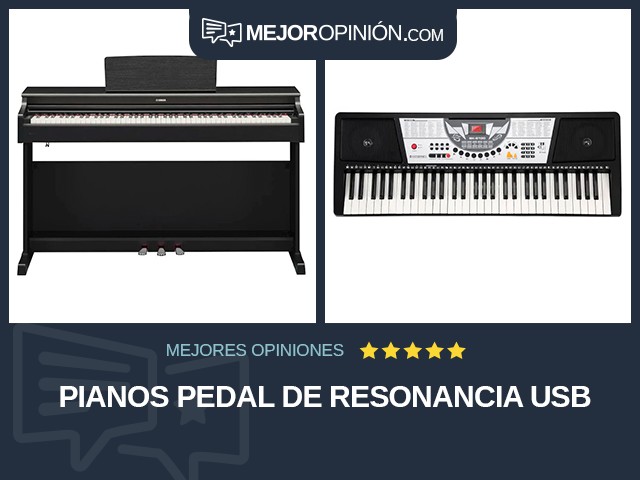 Pianos Pedal de resonancia USB