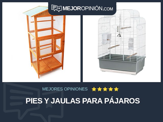 Pies y jaulas para pájaros