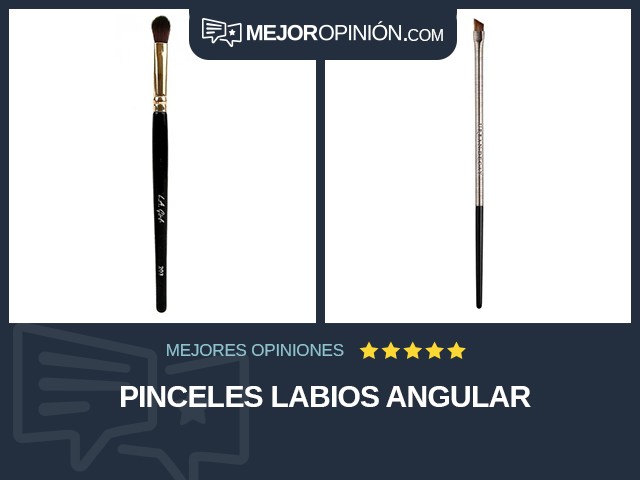 Pinceles Labios Angular