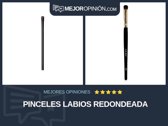 Pinceles Labios Redondeada