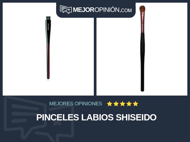 Pinceles Labios Shiseido