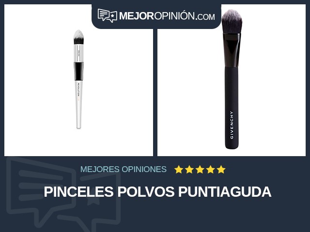 Pinceles Polvos Puntiaguda