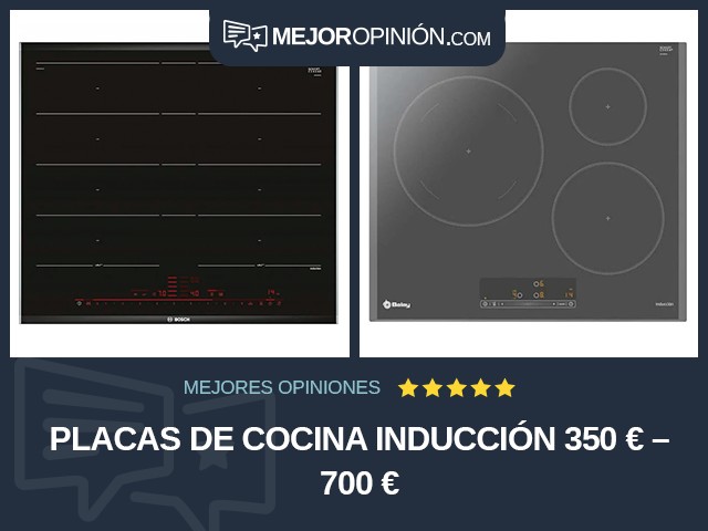 Placas de cocina Inducción 350 € – 700 €