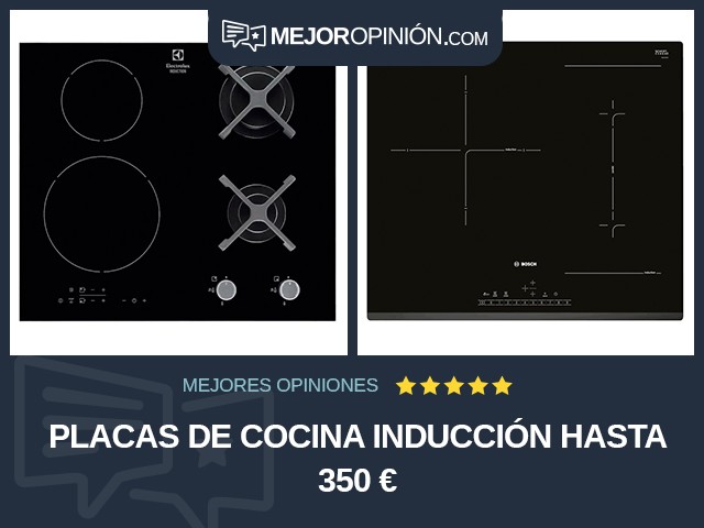 Placas de cocina Inducción Hasta 350 €