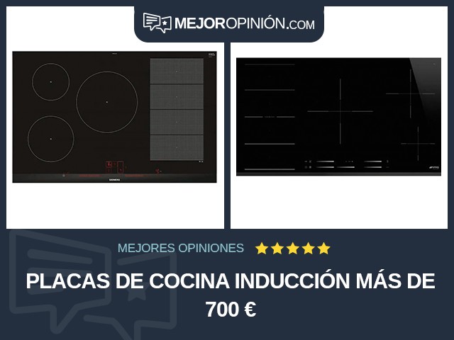 Placas de cocina Inducción Más de 700 €