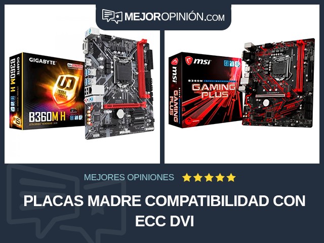 Placas madre Compatibilidad con ECC DVI