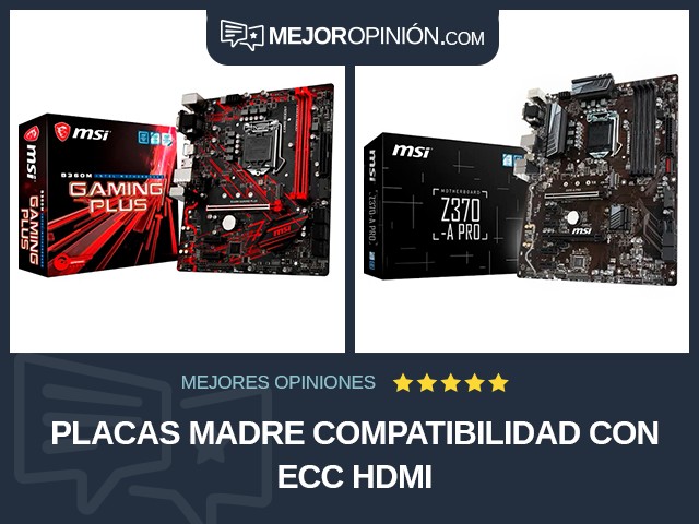 Placas madre Compatibilidad con ECC HDMI