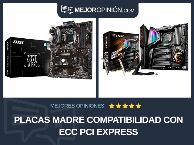 Placas madre Compatibilidad con ECC PCI Express