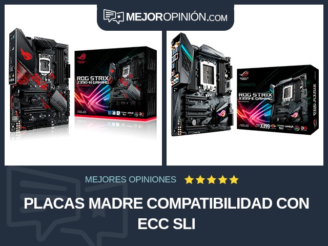 Placas madre Compatibilidad con ECC SLI