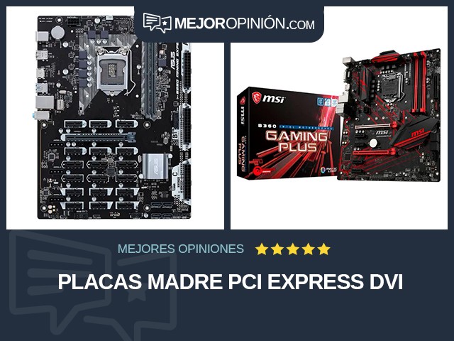 Placas madre PCI Express DVI