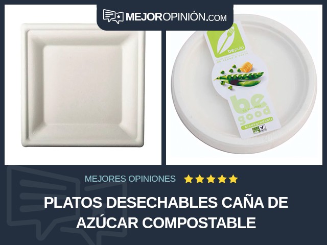 Platos desechables Caña de azúcar Compostable