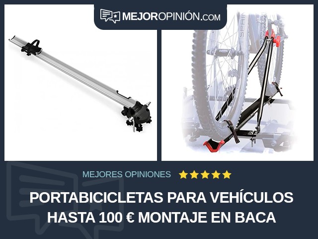 Portabicicletas para vehículos Hasta 100 € Montaje en baca