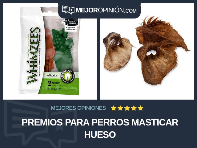 Premios para perros Masticar Hueso