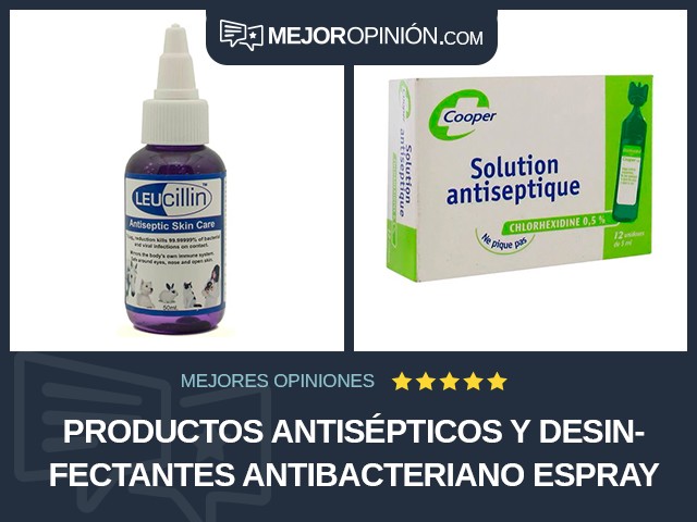 Productos antisépticos y desinfectantes Antibacteriano Espray