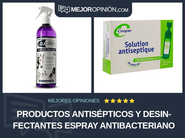 Productos antisépticos y desinfectantes Espray Antibacteriano