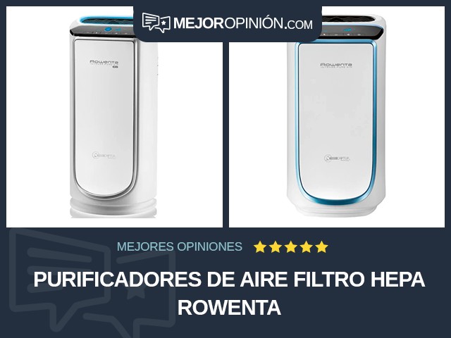 Purificadores de aire Filtro HEPA Rowenta