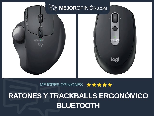 Ratones y trackballs Ergonómico Bluetooth