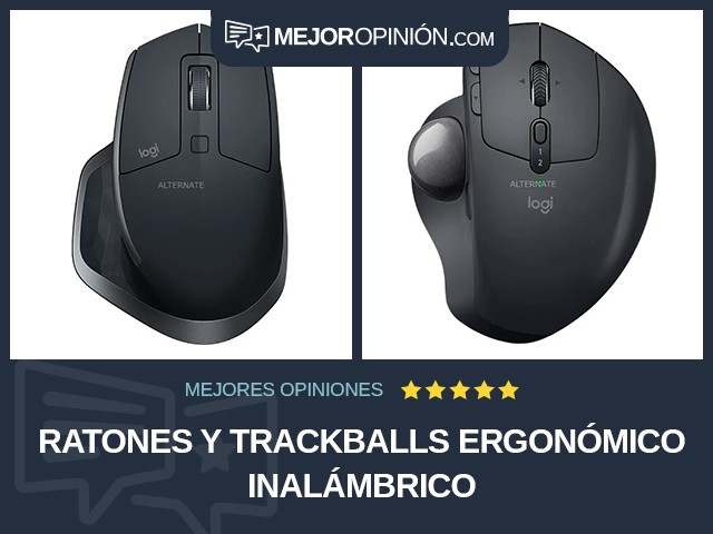 Ratones y trackballs Ergonómico Inalámbrico