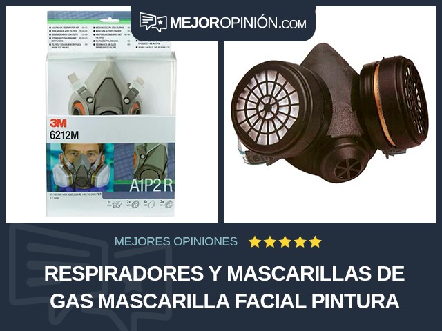 Respiradores y mascarillas de gas Mascarilla facial Pintura