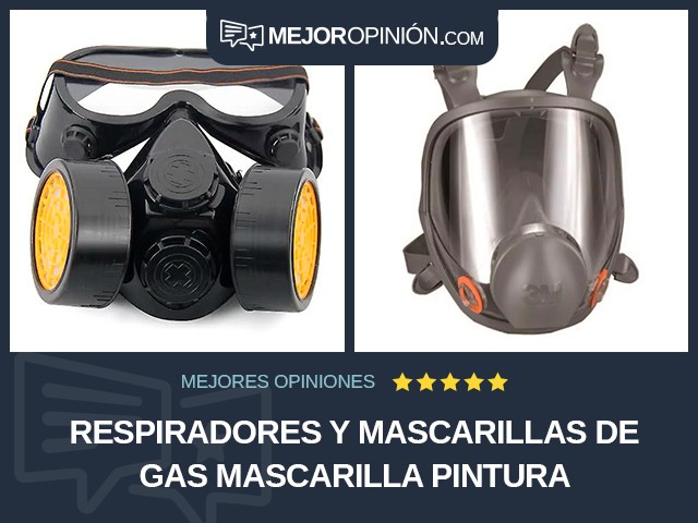 Respiradores y mascarillas de gas Mascarilla Pintura