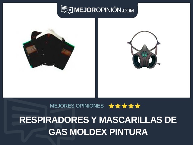 Respiradores y mascarillas de gas Moldex Pintura