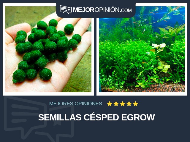 Semillas Césped Egrow