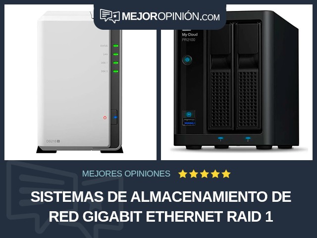 Sistemas de almacenamiento de red Gigabit Ethernet RAID 1