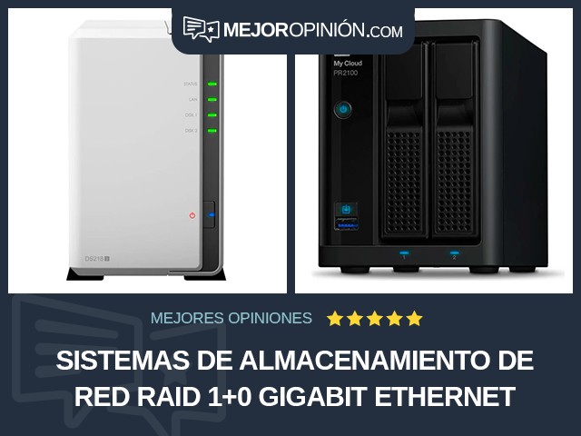 Sistemas de almacenamiento de red RAID 1+0 Gigabit Ethernet