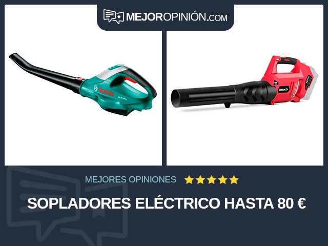 Sopladores Eléctrico Hasta 80 €