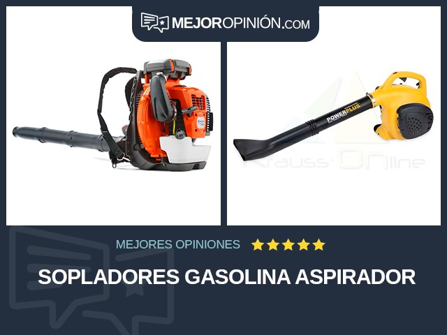 Sopladores Gasolina Aspirador