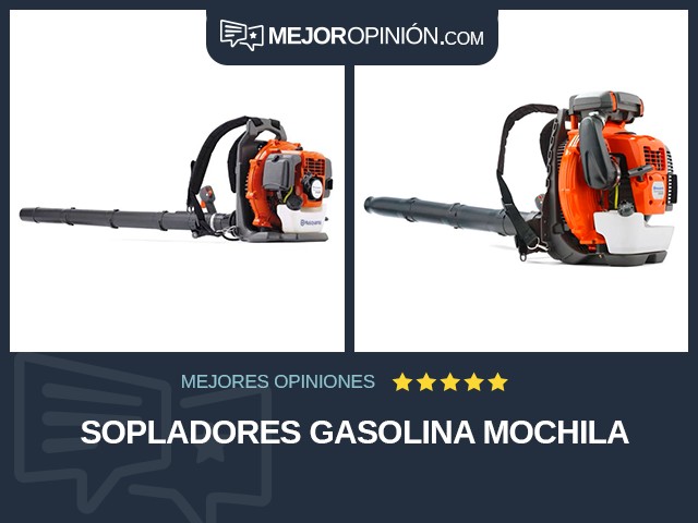 Sopladores Gasolina Mochila