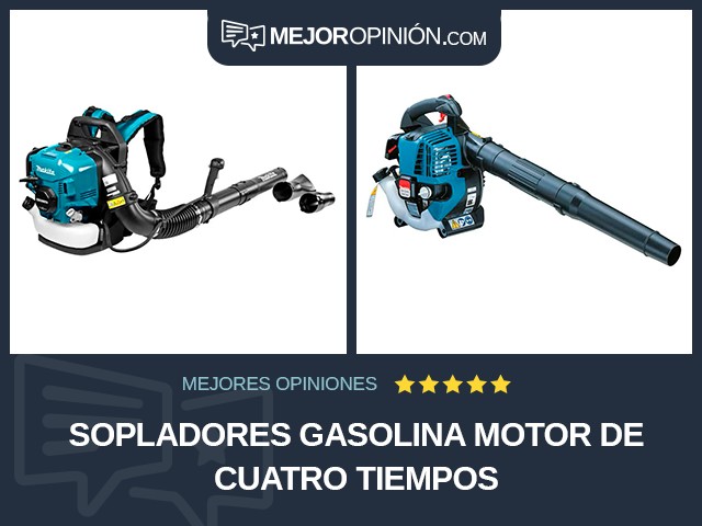 Sopladores Gasolina Motor de cuatro tiempos